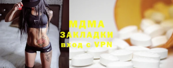 МДПВ Бородино