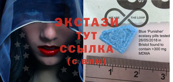 МДПВ Бородино